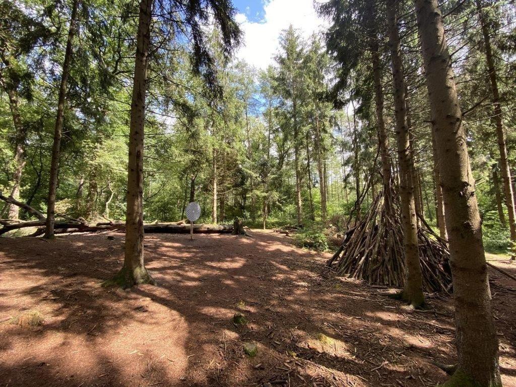 Ferienhaus Seestern Am Harkebruegger See Mit Sauna Und Kamin Barssel  ภายนอก รูปภาพ
